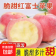【陜西富士】老樹(shù)頭茬現摘脆甜多汁青紅富士蘋(píng)果孕婦兒童均可食用 紙袋富士帶箱1斤
