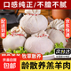 肚包肉羊肉腸內蒙古特產(chǎn)肚包羊肉羊肚包肉生鮮冷凍食材 2斤肚包肉+2斤腸【組合優(yōu)惠款】