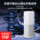 空氣凈化器家用可吸小米粒大小煙霧車(chē)載家用新車(chē)除異味去二手煙臥室除菌除二手煙2025新款 白色 Φ68*165mm