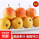 鞍山南果梨5斤南國梨新鮮東北特產(chǎn)香水梨酒香水果軟糯整箱3斤包郵 重量【只發(fā)中大果】 5斤