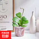 【愛(ài)你的形狀】心葉球蘭多肉植物辦公室內桌面綠植花卉盆栽送女友 心葉球蘭6片起 1盆 8.5cm塑料盆 帶盆栽好