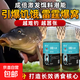 黑坑鯉魚(yú)小藥回鍋魚(yú)滑口魚(yú)水肥臭底裸鯉誘魚(yú)劑餌料果酸添加劑釣魚(yú) 黑坑鯉250ml