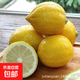 無(wú)籽香水檸檬新鮮水果檸檬無(wú)籽小青檸香水檸檬茶飲店專(zhuān)用 獨立包裝單果60-160g 9斤