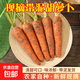 新鮮帶泥胡蘿卜生吃脆甜農戶(hù)自種新鮮蔬菜整箱批發(fā) 9斤