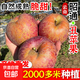 云南昭通丑蘋(píng)果冰糖心蘋(píng)果水果新鮮紅露應當季紅富士脆甜整箱包郵 5斤中果【70-80mm】產(chǎn)地直發(fā)|吃貨專(zhuān)享