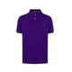 Polo Ralph Lauren男士商務(wù)休閑小馬標(biāo)POLO衫710782592027紫色 S