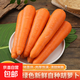 精品水洗胡蘿卜山東新鮮現挖現發(fā)蔬菜紅蘿卜無(wú)泥整箱批發(fā) 5斤