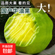 云南哈斯牛油果【多地次日達】進(jìn)口牛油果嬰兒新鮮水果送禮品物盒 甄選特大果【單果280g+】 8個(gè)裝