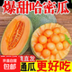 正宗哈密瓜 新鮮甜脆 皮薄多汁 2-3斤 脆甜爽口多汁