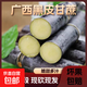 廣西黑皮甘蔗新鮮 多汁水果包郵應當季特產(chǎn)整箱脆甜果蔗清甜桿 黑皮甘蔗凈重9斤