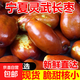 寧夏靈武頭茬長(cháng)棗新鮮采摘紅棗脆甜可口西北大棗 新鮮采摘大棗2500g
