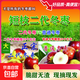 正宗山東沾化二代冬棗短枝二代冬棗脆甜棗子紅棗青棗新鮮棗子水果 二代冬棗5斤大果