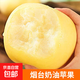 山東煙臺黃金奶油富士蘋(píng)果 奶油蘋(píng)果帶箱1斤2-4個(gè)果試吃裝