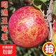 丑蘋果昭通蘋果冰糖級【多地次日達(dá)】大涼山水果禮盒中秋禮品 9斤分享裝丨單果70-80mm