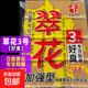 老G翠花方塊餌料1號鰱鳙酸臭草莓2號6號酒香腥香野釣全能巨物方塊 【翠花3號】好臭丨專(zhuān)攻鰱鳙*2