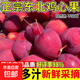 【爆脆多汁】拇指小蘋(píng)果糖心雞心果當季孕婦水果酸甜大果5斤整箱 5斤