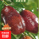 寧夏長(cháng)棗 靈武頭茬當季現摘現發(fā)鮮棗 新鮮脆甜時(shí)令水果 新鮮采摘大棗2500g