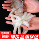 無(wú)冰超大長(cháng)腿八爪魚(yú)新鮮活特大冰凍熟凍大章魚(yú)八爪魚(yú) 500克*3包 1500g(凈重)