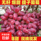 正宗克倫生無(wú)籽紅提脆甜紅寶石葡萄當季新鮮水果葡萄 4斤