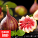 四川龍泉新鮮無(wú)花果波姬紅大果整箱當季時(shí)令水果 凈重4斤大果40g+