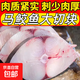 湛江海洋大馬鮫魚(yú)段魚(yú)片冷凍馬鮫魚(yú)新鮮中段正宗馬鮫魚(yú) 凈重3斤【馬鮫魚(yú)原切大塊6片】