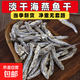 新鮮小魚(yú)干帶頭海燕魚(yú) 帶頭海燕魚(yú)500g