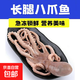 無(wú)冰超大長(cháng)腿八爪魚(yú)新鮮活特大冰凍熟凍大章魚(yú)八爪魚(yú) 500克*1包 500g(凈重)