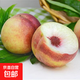 山東正宗青州蜜桃 毛桃當季新鮮水果-盛耀福 5斤