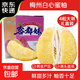 梅州白心蜜柚白肉柚子新鮮應季水果冰糖金碌柚非三紅柚沙田柚中秋 【禮盒裝】白柚4粒 單果2.3-2.8斤