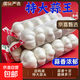 山東金鄉蒜大蒜出口標準精選大蒜頭蔬菜調料單果5cm 出口標準網(wǎng)兜裝箱 1300g 5-5.5cm特大