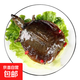 光州麻辣甲魚(yú)熟食即食整只鹵味甲魚(yú)團魚(yú)網(wǎng)紅麻辣鮮活食用鹵王八 400-450g麻辣 5只