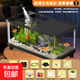 魚(yú)缸家用客廳懶人循環(huán)過(guò)濾桌面缸小型仿玻璃帶蓋造景全套生態(tài)魚(yú)缸 8K超清生態(tài)魚(yú)缸大號【黑色-造景套餐3】