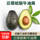 老樹(shù)牛油果 云南奶酪新鮮牛油果 奶油牛油果奶茶嬰兒孕婦當季水果 1粒裝 單果重：70-130g以下