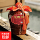 紹半城黃酒花雕王十年陳半干型壇裝傳統手工釀造自飲送禮泡阿膠 花雕王十年 1.5L 1壇