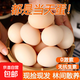 貴州紅心谷物鮮雞蛋 生鮮超市精選大蛋單枚50g起 減脂水煮蛋 高山貴州/【有機雙色】紅心蛋 【10粒雙色蛋】/破蛋包賠50-55g