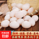 新鮮正宗鴿子鴿蛋農家輔食五谷雜糧鴿子蛋營(yíng)養寶寶孕婦 【10枚】精選鴿子蛋