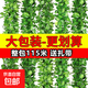 仿真藤條綠蘿葉婚慶節慶裝飾假樹(shù)葉藤蔓塑料花藤下水管道遮擋綠葉 20葉大號綠蘿葉【48條115米】