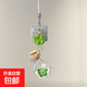 星星許愿瓶掛件原創(chuàng  )自制手機鏈ins風(fēng)手機鏈可愛(ài)掛飾禮物包掛飾 瓶裝四葉草