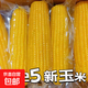 黃糯水果甜玉米開(kāi)袋即食無(wú)添加免煮東北真空香甜粘糯苞米玉米棒 5棒甜糯玉米240克起