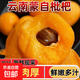 正宗云南蒙自高山五星長(cháng)虹甜枇杷新鮮采摘孕婦時(shí)令止咳化痰水果 2斤嘗鮮裝（單果重15克+）