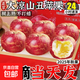 【彩箱精品】大涼山丑蘋(píng)果鹽源四川冰糖25新鮮水果整箱孕婦紅富士 整箱9斤A+級果王【果徑85-90】