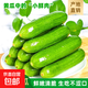 新鮮水果小黃瓜荷蘭黃瓜清甜可口瘦身減脂新鮮蔬菜生鮮 水果小黃瓜 3斤