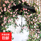仿真玫瑰花薔薇花藤條長(cháng)條蔓藤絹花假花房頂暖氣管道裝飾花鏈高端 茶玫鐵絲藤【10條裝】備注顏色