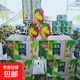 泰國香水椰青新鮮椰子去皮奶香椰青單果900g＋大果 9粒（性?xún)r(jià)比高） 清甜可口，奶香味足