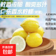 廣東香水黃檸檬新鮮檸檬奶茶店專(zhuān)用香水黃檸檬水果產(chǎn)地源頭直發(fā) （帶箱1斤）香水檸檬黃果單果70g起