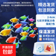 觀(guān)賞魚(yú)天使魚(yú)熱帶小型魚(yú)套餐淡水魚(yú)大號魚(yú)苗斑馬好養耐活七彩群游 2-4cm七彩天使魚(yú)20條保底7色