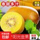 陽(yáng)光金果國產(chǎn)獼猴桃奇異果金桃彌泥猴桃新鮮水果生鮮大果孕婦當季 15枚50-70g