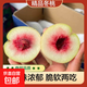 新鮮冬桃蜜桃青桃脆甜多汁山東冬雪毛桃硬桃-森果紀 帶箱3斤