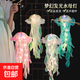 發(fā)光玩具網(wǎng)紅爆款成品手提夢(mèng)幻炫彩水母燈籠夜市地攤擺攤兒童幻彩 混色5套（成品+桿子）