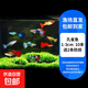 孔雀魚(yú)熱帶魚(yú)觀(guān)賞魚(yú)苗精品小型淡水好養耐活清道夫魚(yú)糧飼料觀(guān)賞蝦 孔雀魚(yú)1-3cm10條/送2條防損